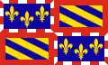 Flag of Burgundy