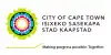 Flag of City of Cape Town