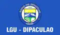 Flag of Dipaculao