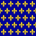 Flag of France under the Capetian dynasty since the 12th century