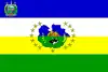 Flag of Guárico State