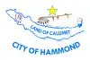 Flag of Hammond, Indiana