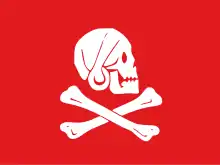 Popular version of Henry Every's Jolly Roger. Reportedly, Every also flew a version with a black background.