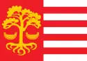 Flag of Loksa