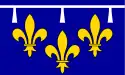 Flag of Orléans