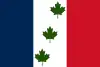 Flag of Saint-Éphrem-de-Beauce