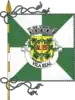 Flag of District of Vila Real