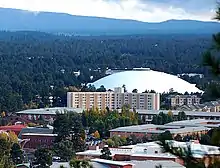 Multiple buildings in front of a forest