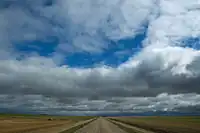 Open prairie near Lewvan