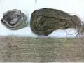 Flax fiber in different forms, before and after processing