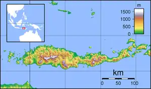 1992 Flores earthquake and tsunami is located in Flores