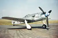 Countershaded Focke-Wulf Fw 190D-9