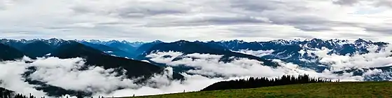 A foggy day at Hurricane Ridge