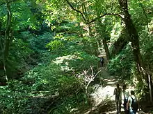 A steep-sided valley through deciduous woodland. On one side, a footpath has been cut; 5 hikers are using it.