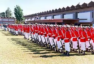 Graduating Brazilian Marine Corps recruits, 2008