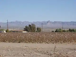 Fort Mojave Indian Reservation, with  Boundary Cone in distance