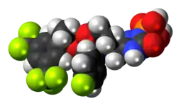 Space-filling model of the fosaprepitant molecule