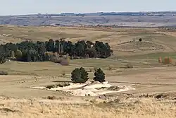 Foulden Maar pit as seen from Moonlight Road