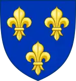 Royal arms of France, three gold fleurs-de-lis on a blue background