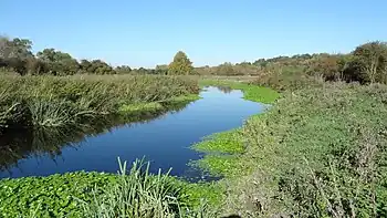 Frays River in Frays Farm Meadows