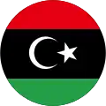 Free Libyan Air Force(2011–2014)