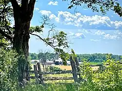 Freelton farm, looking west on Concession Road 8 East