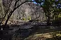 Flood damage below Long House, Bandelier National Monument