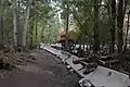 Flood damage at the visitor center, Bandelier National Monument