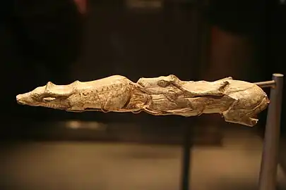 13,000 year old Swimming Reindeer sculpture from L'Abri Bruniquel, France