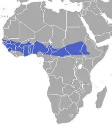 Saharan/Subsaharan border of Africa