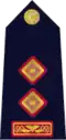 Rank Insignia of Garda Chief Superindendent