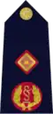 Rank insignia of Garda Deputy Commissioner