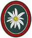 West/German military 23rd mountain rifles troops emblem.