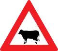 13a: Animals (cow)