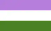 Genderqueer pride flag, made up of three horizontal stripes, which are, from top to bottom, purple, white, and green.