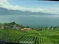 Lavaux from the railway line going from Lausanne to Palézieux and Bern.