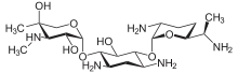 Gentamicin