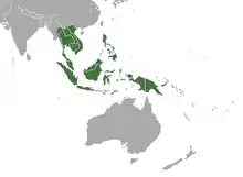 Indochina, Indonesia, the Philippines, New Guinea, and the Solomon Islands