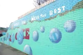 A mural in a republican area dedicated to George Best.