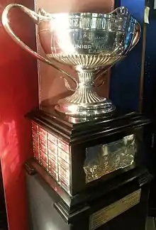 Photo of the trophy on display at the Hockey Hall of Fame