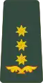 პოლკოვნიკიP’olk’ovnik’i(Georgian Land Forces)