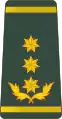 გენერალ ლეიტენანტიGeneral leit’enant’i(Georgian Land Forces)