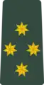 კაპიტანი (K’ap’it’ani) Georgian Army