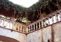 Roof terrace garden (Ventimiglia, Italy)