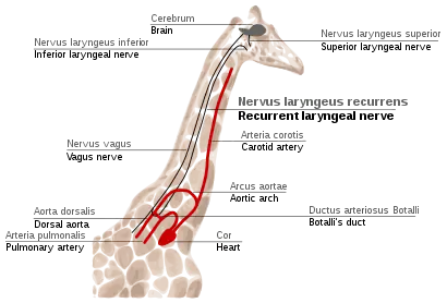 Figure 2f