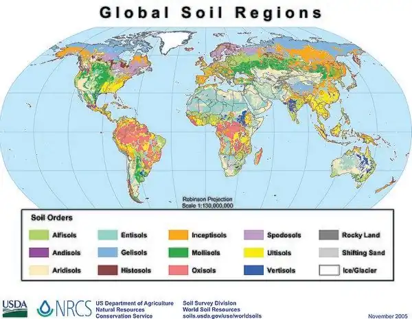 Global soil regions