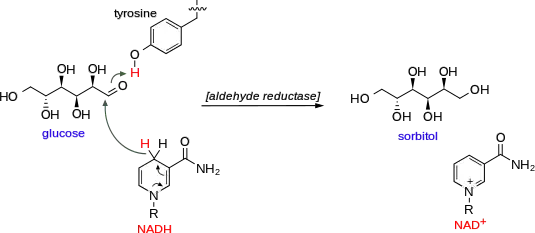 Mechanism of glucose aldehyde reduction into sorbitol