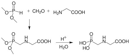 Glyphosate synthesis from dimethyl phosphite