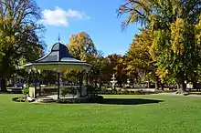 English Elm in autumn, Belmore Park, Goulburn, New South Wales