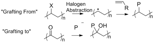 Schematic of graft polymerizations